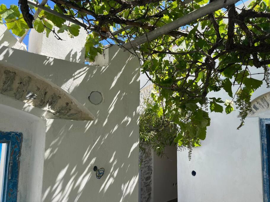 Dream House Little Villa - אמורגוס מראה חיצוני תמונה