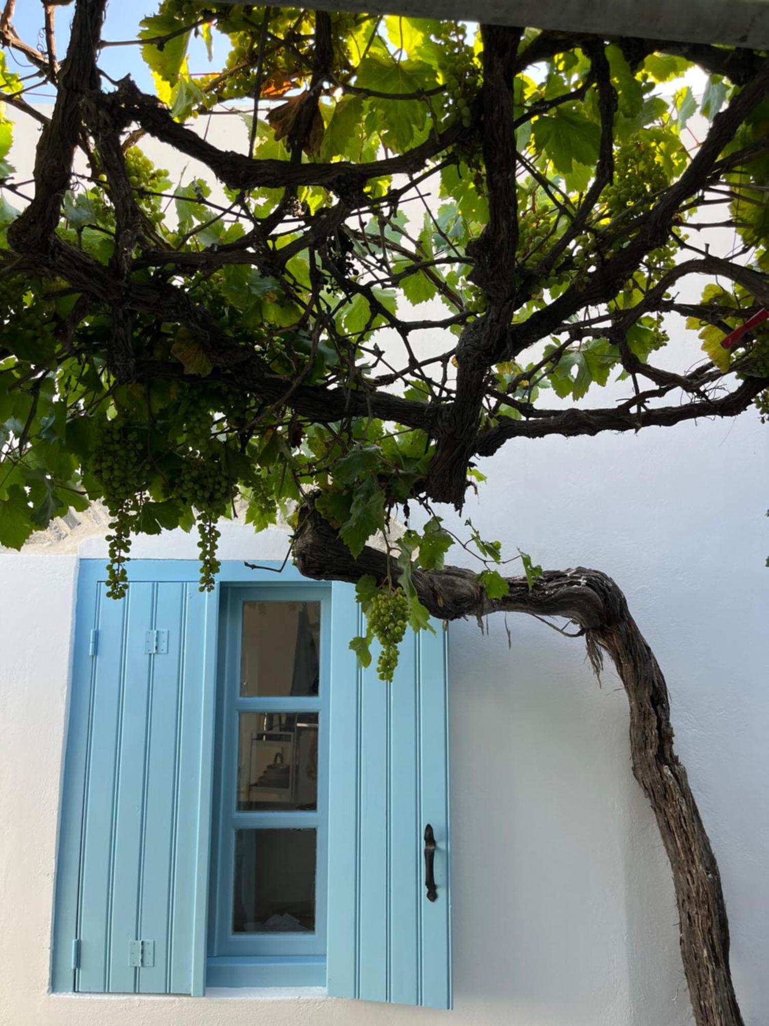 Dream House Little Villa - אמורגוס מראה חיצוני תמונה